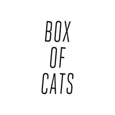 Box Of Cats hero image