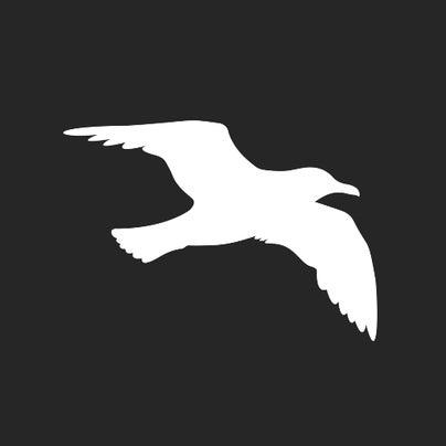 Mango Alley hero image