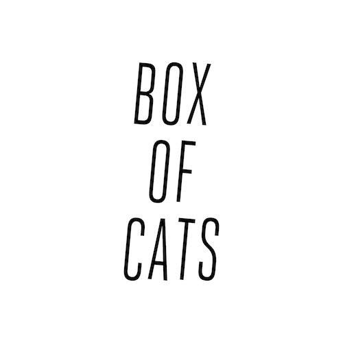 Box Of Cats