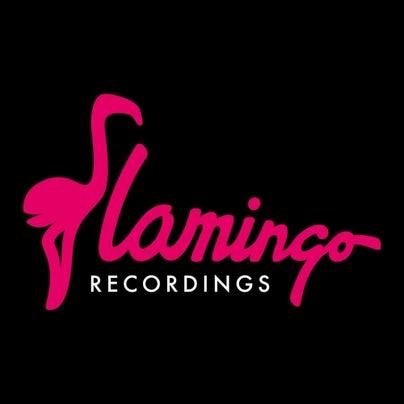Flamingo Recordings hero image